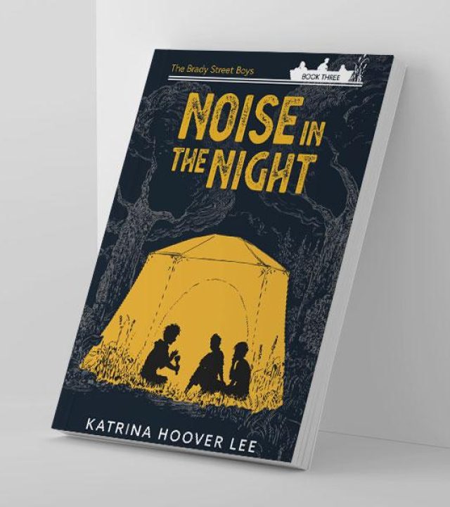 Noise-in-the-Night.jpg Noise-in-the-Night.jpg